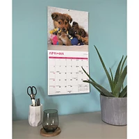 Playful Puppies 2026 Wall Calendar