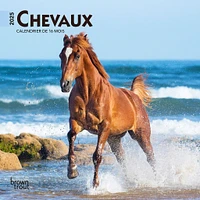 Chevaux Mini 2025 Calendar (French)