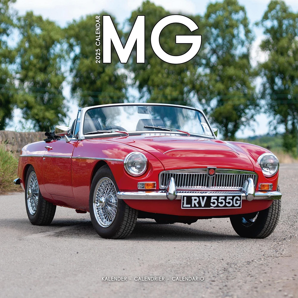 Mg Wall 2025 Calendar - Online Exclusive