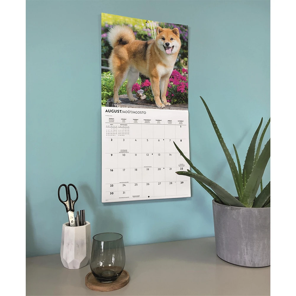 Shiba Inu 2026 Wall Calendar