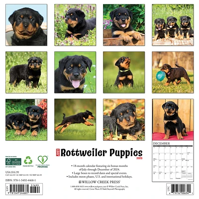 Just Rottweiler Puppies Wall 2025 Calendar