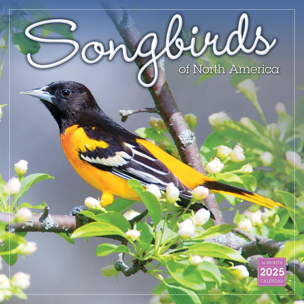 Songbirds Of North America Wall 2025 Calendar