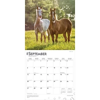 Quarter Horses 2026 Wall Calendar - Online Exclusive