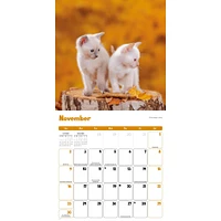 Curious Kittens Wall 2025 Calendar