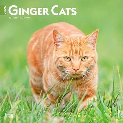 Ginger Cats 2026 Wall Calendar
