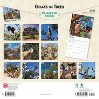 Goats In Trees 2026 Wall Calendar
