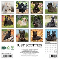 Just Scotties Wall 2025 Calendar