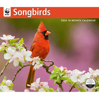 World Wildlife Fund Songbirds 2026 Wall Calendar