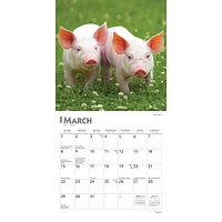 Piglets 2026 Mini Calendar