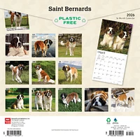 Saint Bernards 2026 Wall Calendar