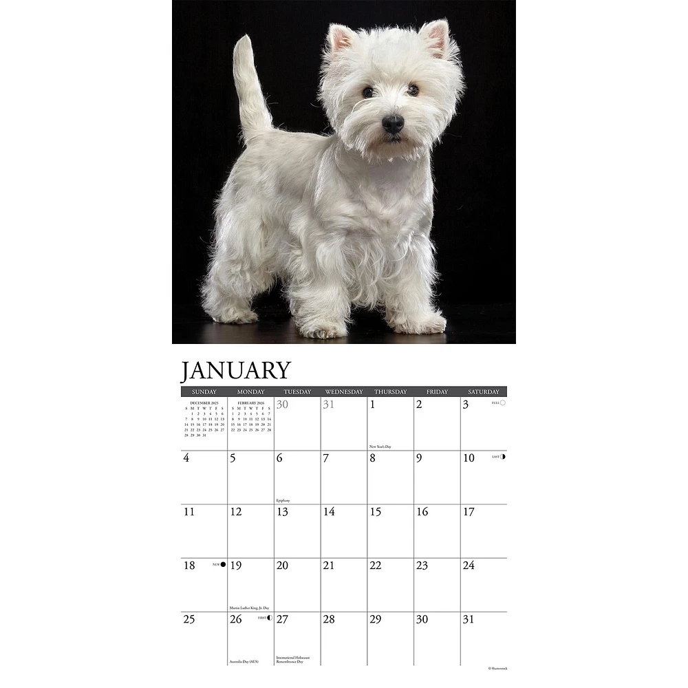 Just Westies 2026 Wall Calendar - Online Exclusive