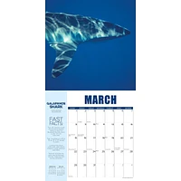 Shark Year 2026 Wall Calendar