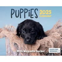 Puppies Small Box 2025 Calendar