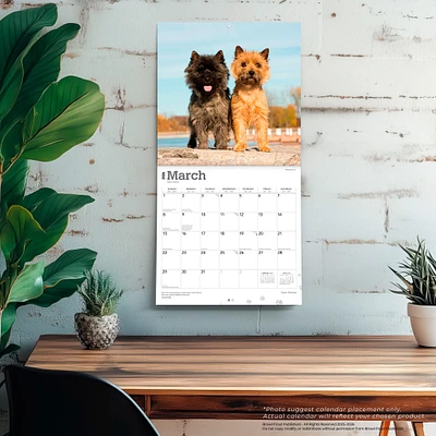 Cairn Terriers 2026 Wall Calendar