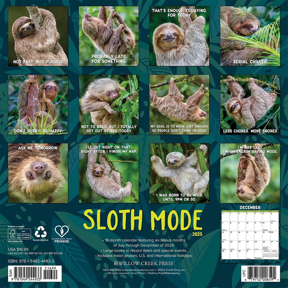 Sloth Mode Wall 2025 Calendar - Online Exclusive