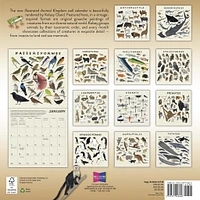 Illustrated Animal Kingdom 2026 Wall Calendar - Online Exclusive
