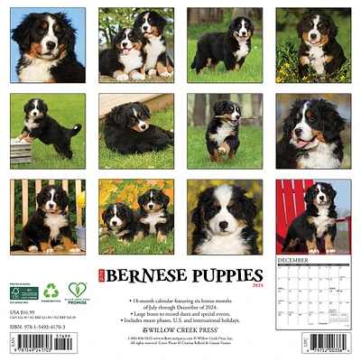 Just Bernese Mountain Puppies Wall 2025 Calendar