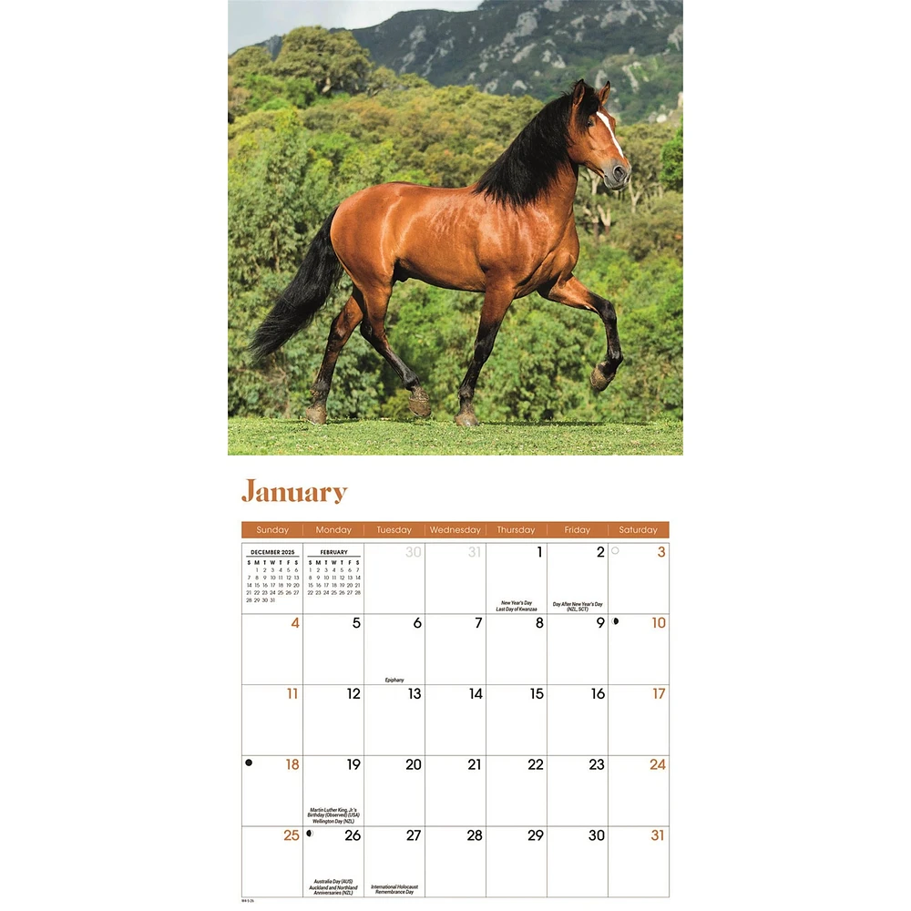 Horses 2026 Mini Calendar