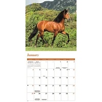 Horses 2026 Mini Calendar