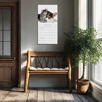 Kittens And Friends Wall 2025 Calendar