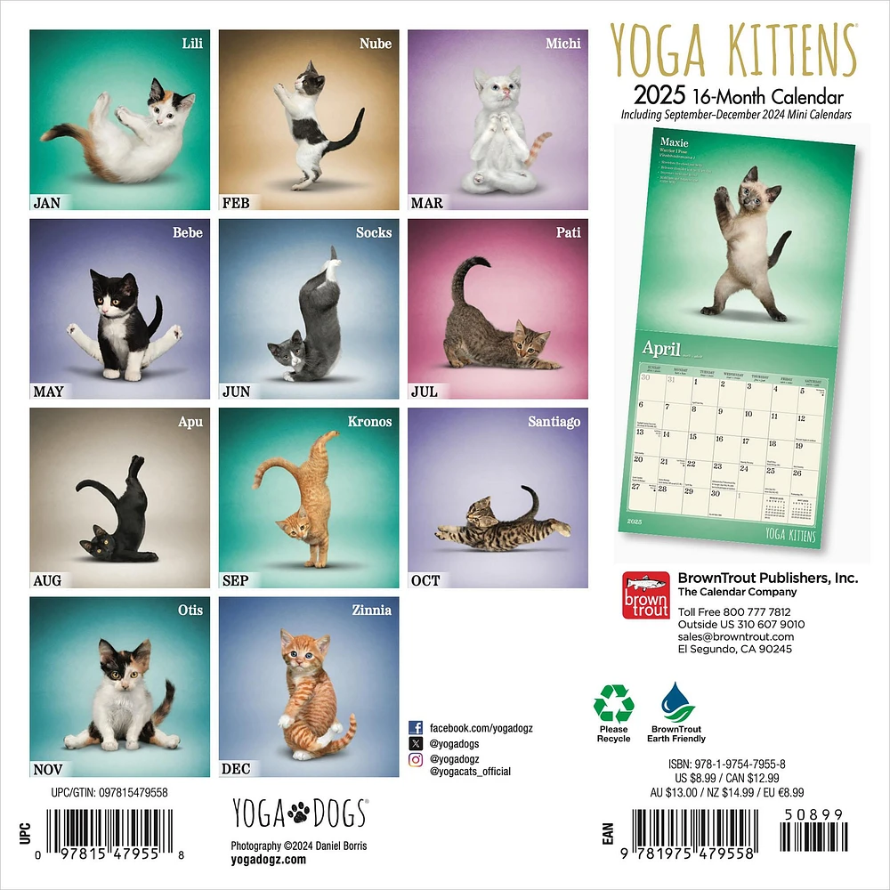 Yoga Kittens Mini 2025 Calendar