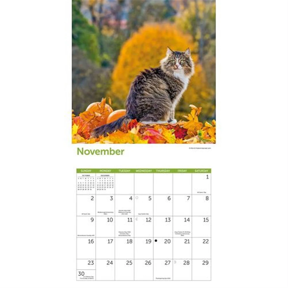 Cats Wall 2025 Calendar