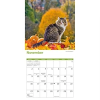 Cats Wall 2025 Calendar