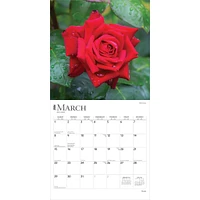 Roses 2026 Wall Calendar - Online Exclusive