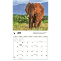 World Wildlife Fund Elephants 2026 Wall Calendar