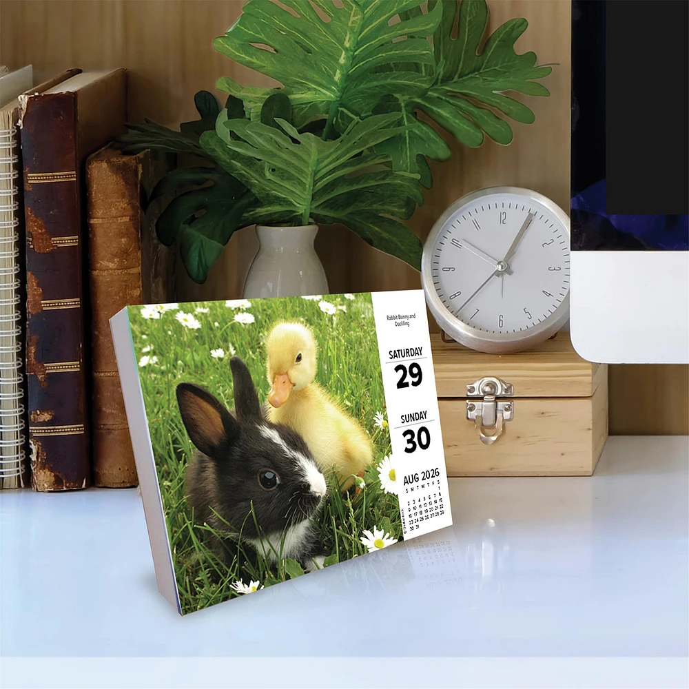 Baby Animals 2026 Box Calendar - Online Exclusive