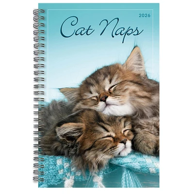 Cat Naps 2026 Engagement Calendar