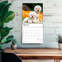 Bichon Frise 2026 Wall Calendar - Online Exclusive