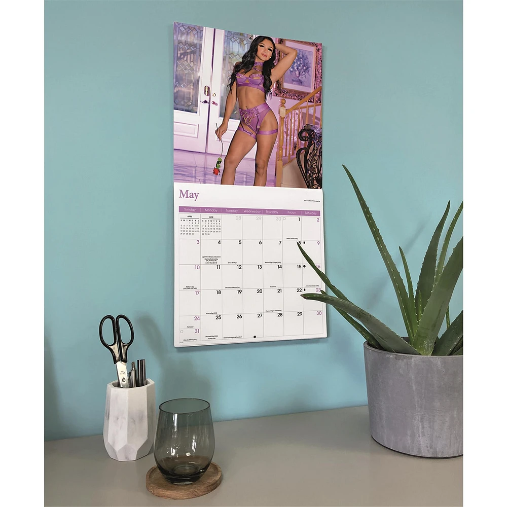 Lingerie 2026 Wall Calendar