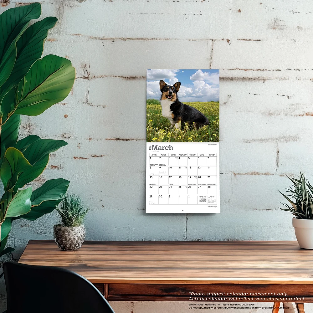 Welsh Corgis 2026 Mini Calendar