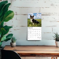 Welsh Corgis 2026 Mini Calendar