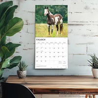 Quarter Horses 2026 Wall Calendar - Online Exclusive