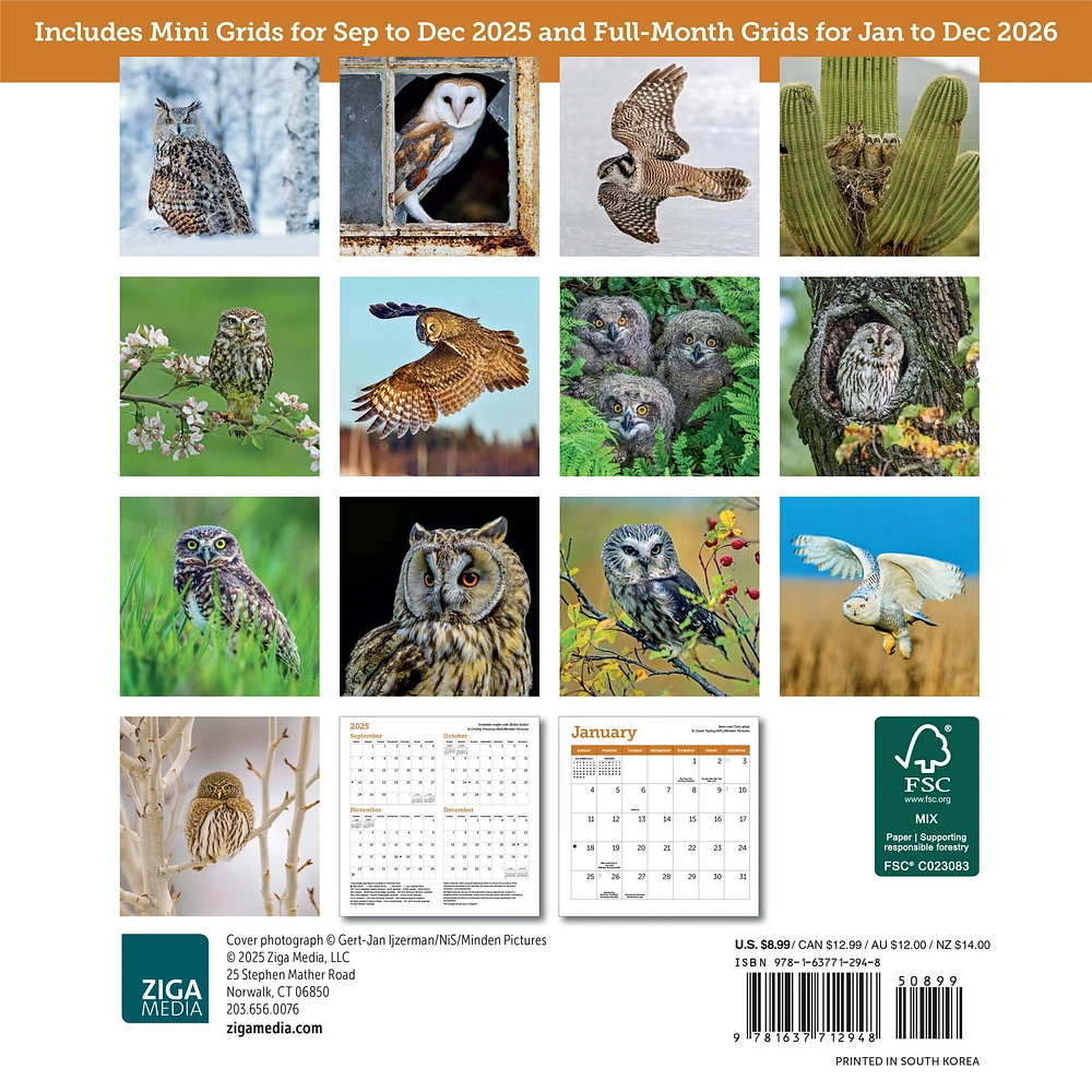 Owls 2026 Mini Calendar