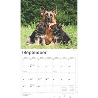 For The Love Of German Shepherds Deluxe Wall 2025 Calendar