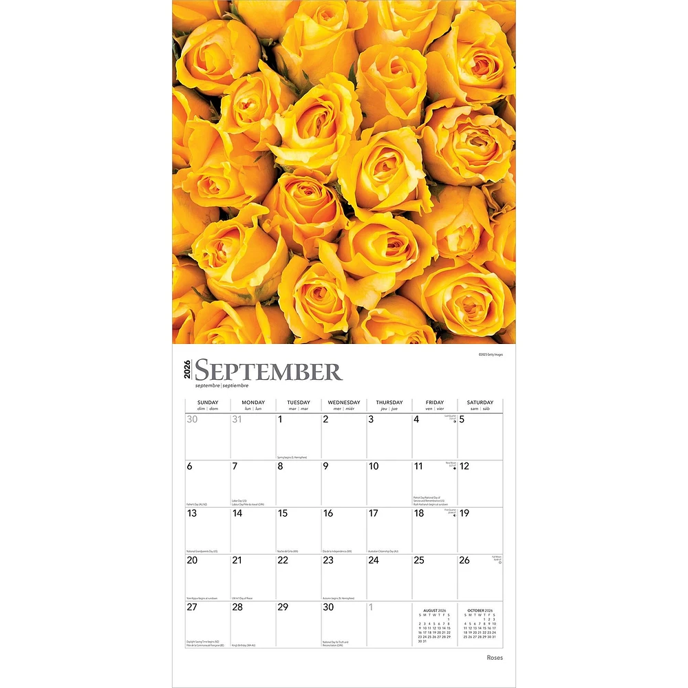 Roses 2026 Wall Calendar - Online Exclusive
