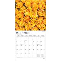 Roses 2026 Wall Calendar - Online Exclusive