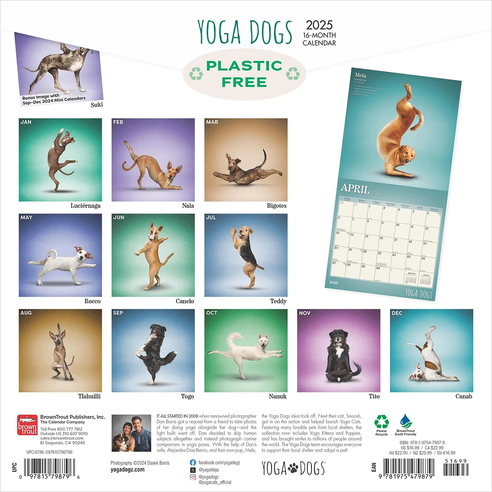 Yoga Dogs Wall 2025 Calendar