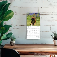 Boxer Puppies 2026 Mini Calendar