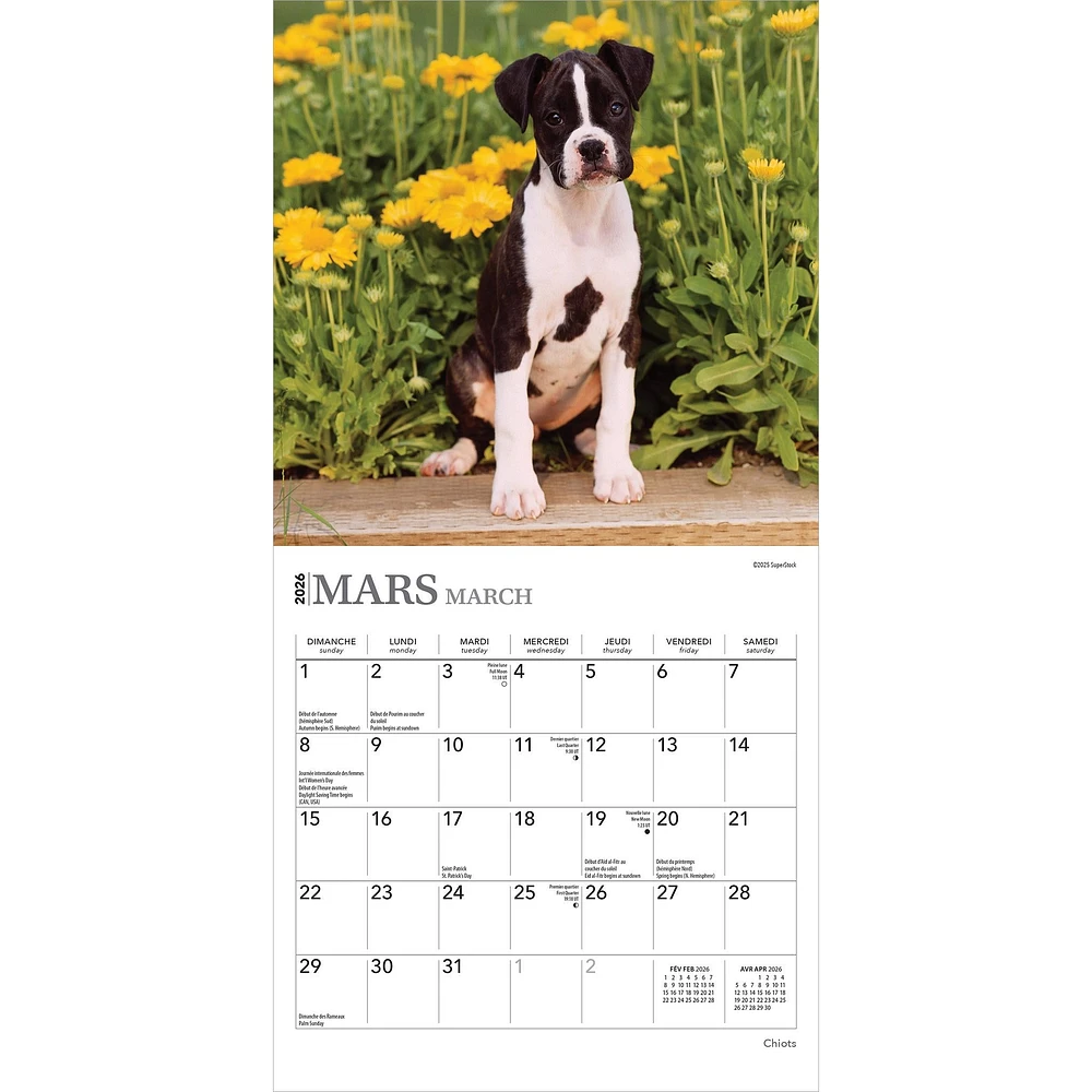 Chiots 2026 Mini Calendar (French)