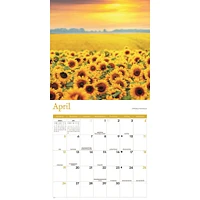 Sunflowers 2026 Wall Calendar