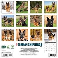 Just German Shepherds 2026 Wall Calendar