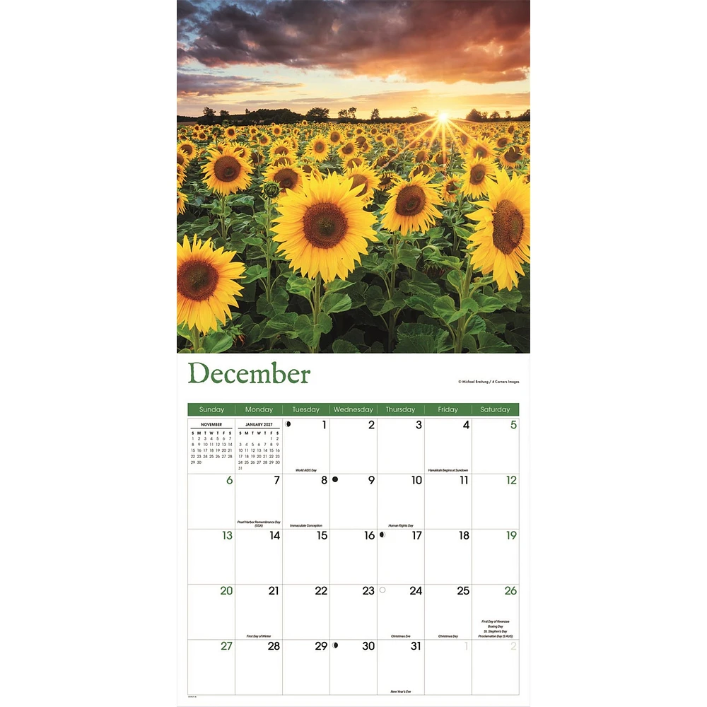 Sunflowers 2026 Wall Calendar