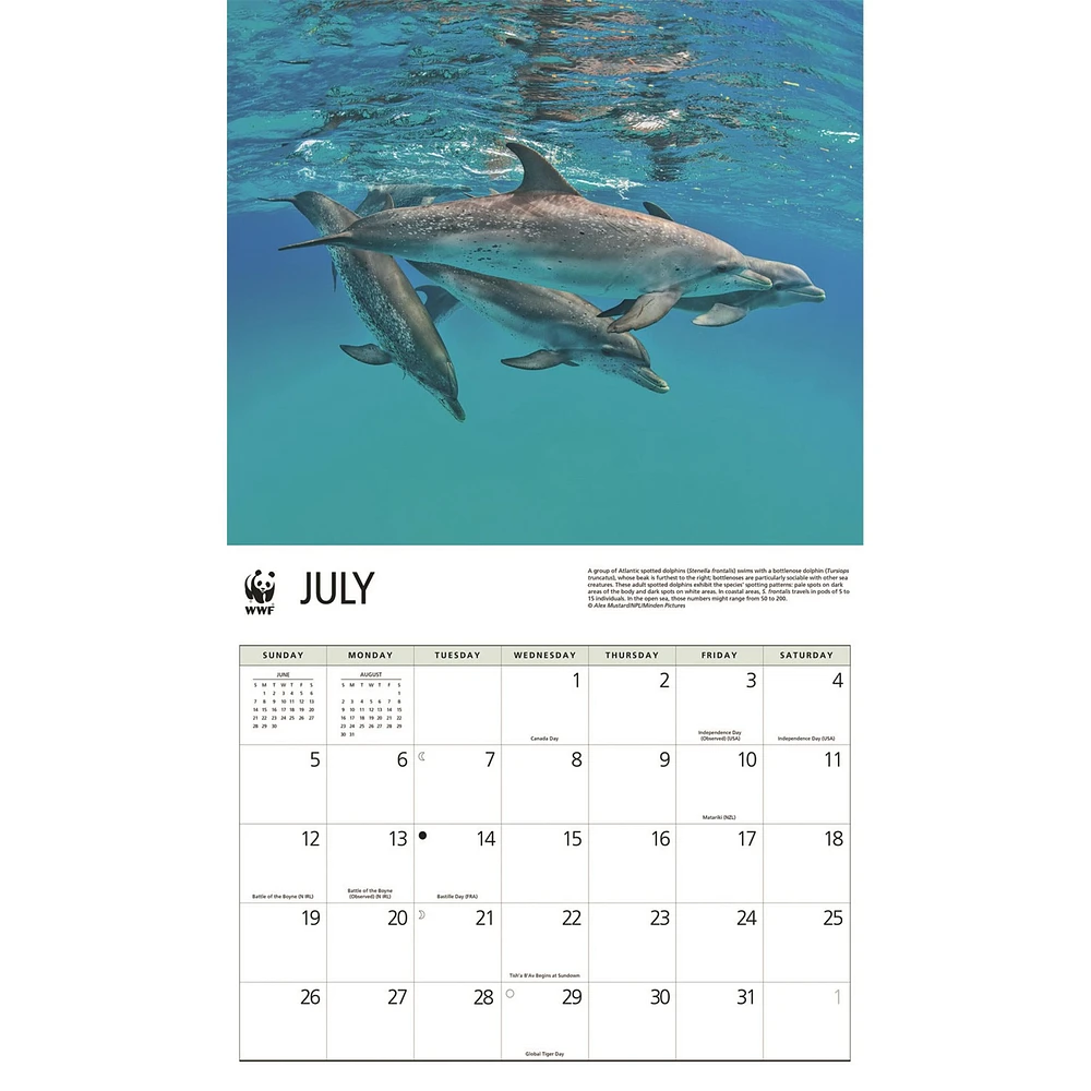 World Wildlife Fund Dolphins 2026 Wall Calendar