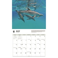 World Wildlife Fund Dolphins 2026 Wall Calendar