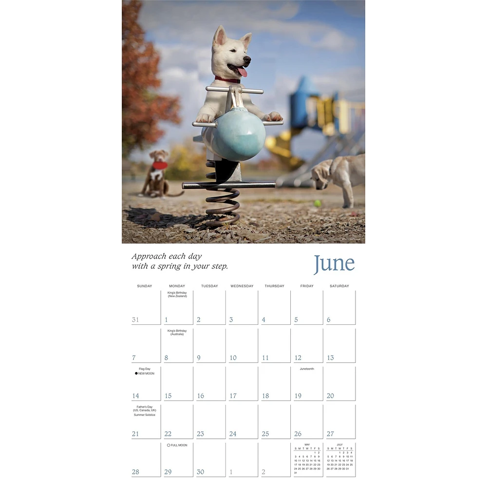 Dogma 2026 Wall Calendar