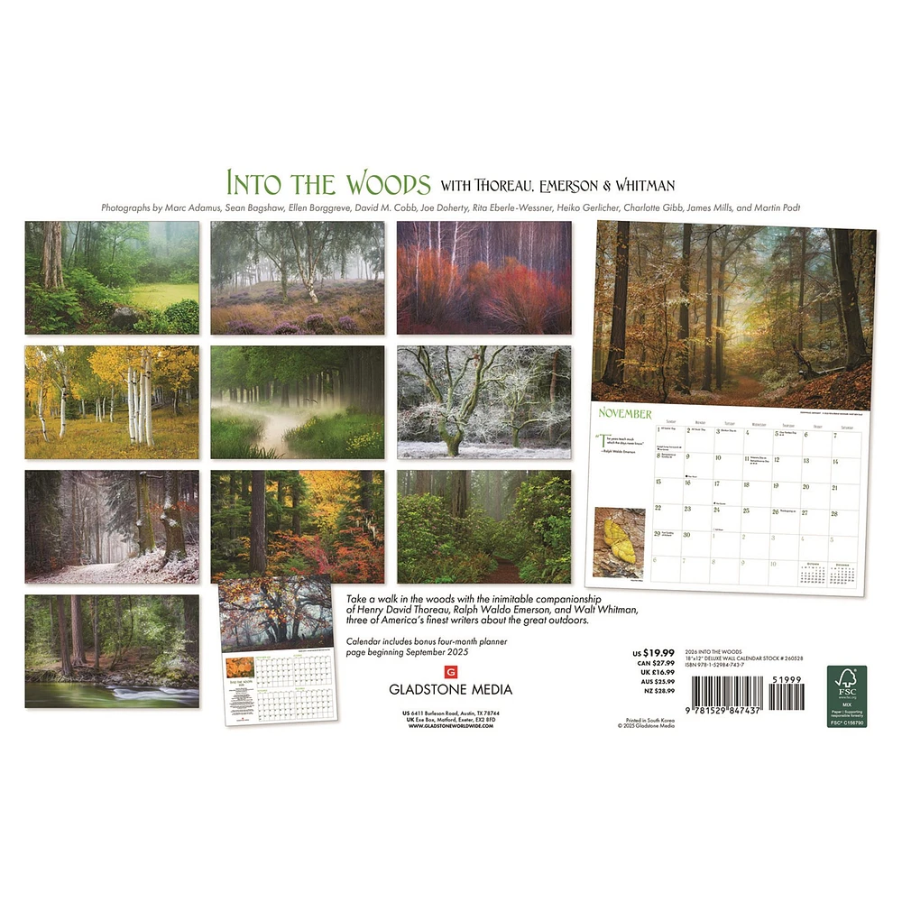 Into The Woods Oversized 2026 Wall Calendar
